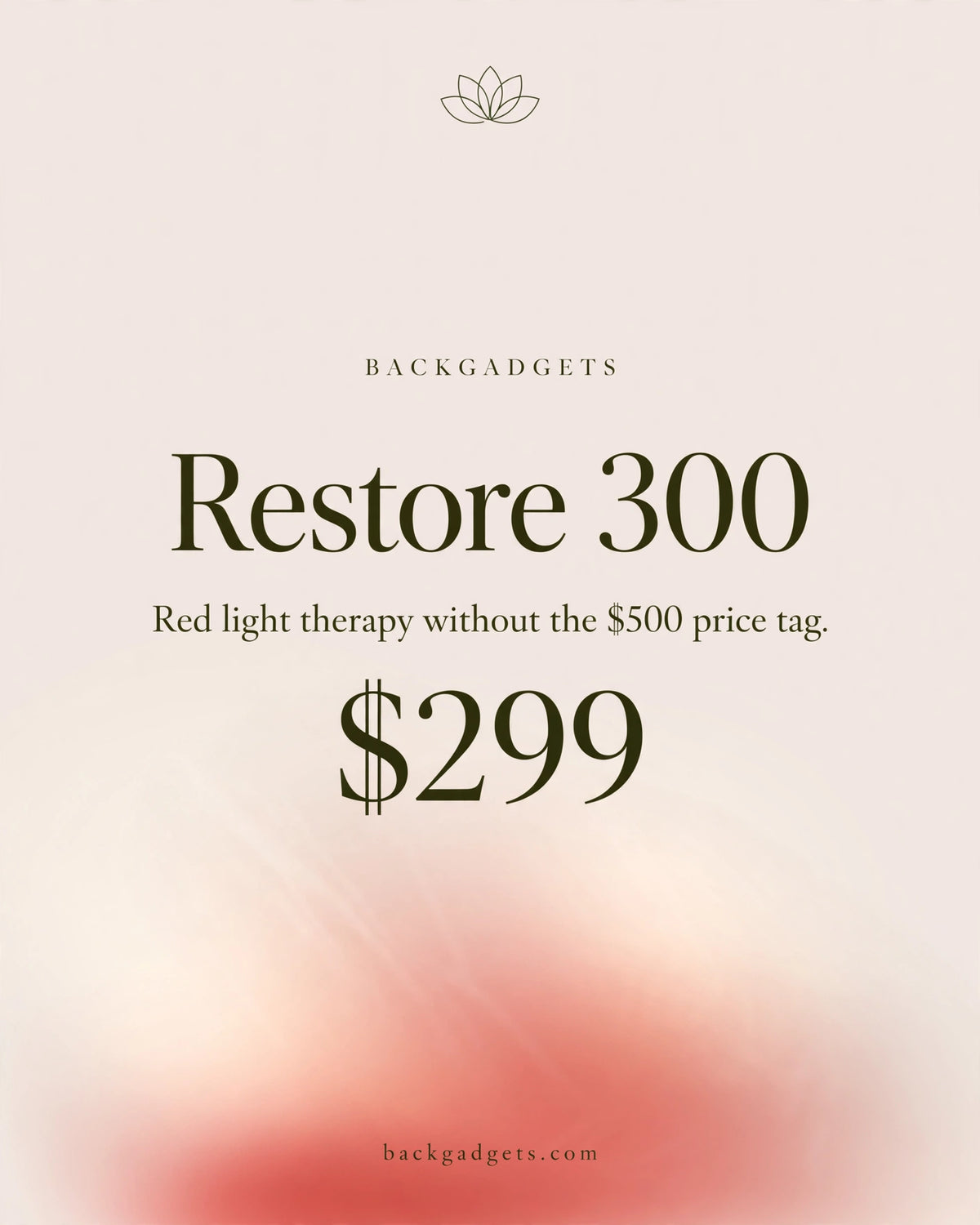Backgadgets Restore 300